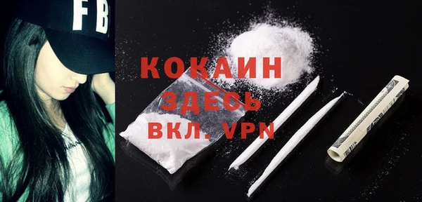 гидра Бронницы