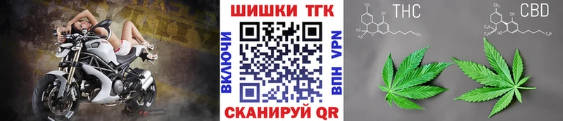 продажа наркотиков  Гвардейск  Шишки марихуана тримм 